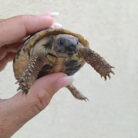 House Of 98 M² With Three Bedrooms, Two Bathrooms 度假居 沃迪切