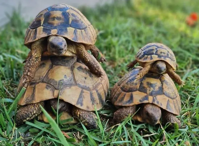 House Of 98 M² With Three Bedrooms, Two Bathrooms * Vodice