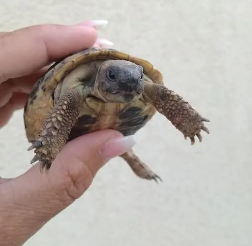 House Of 98 M² With Three Bedrooms, Two Bathrooms Casa vacanze Vodice