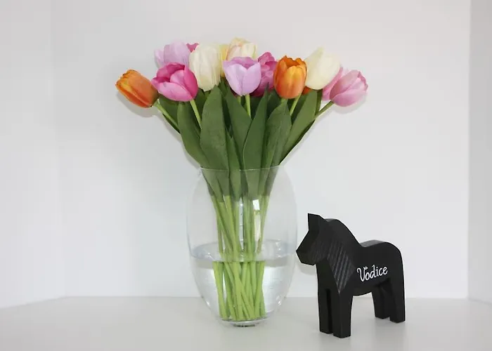 House Of 98 M² With Three Bedrooms, Two Bathrooms